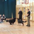 szkolenie psy (7)