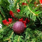 601022489_1295936545912052_1156422247650496628_n